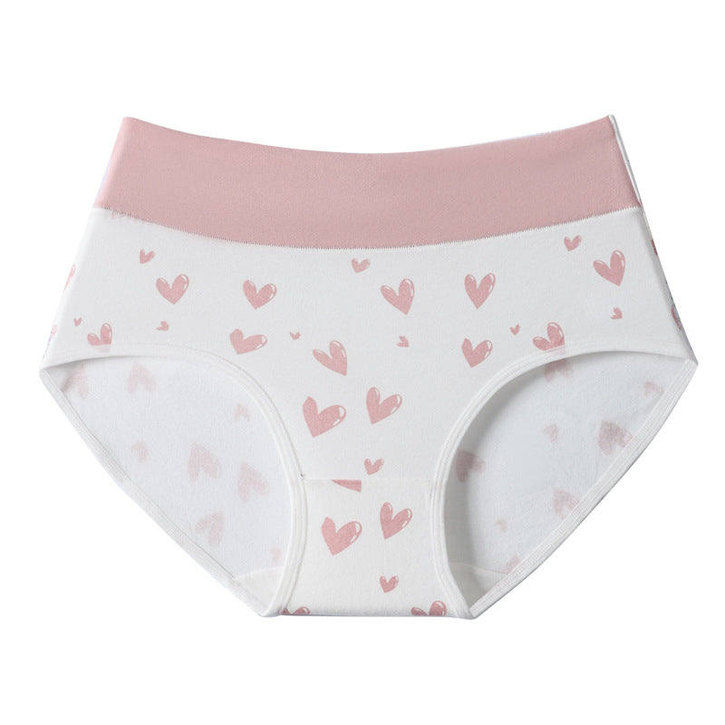 VVZ Women's Plus-Size High-Waisted Panties