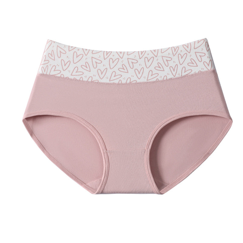 VVZ Women's Plus-Size High-Waisted Panties
