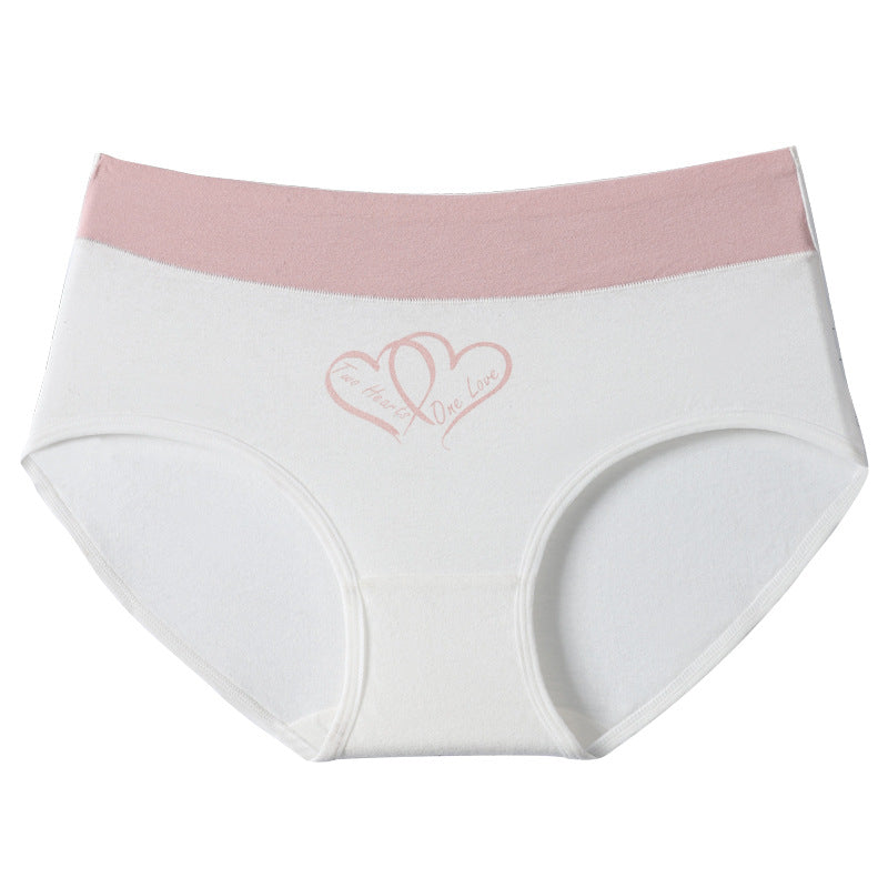 VVZ Women's Plus-Size High-Waisted Panties